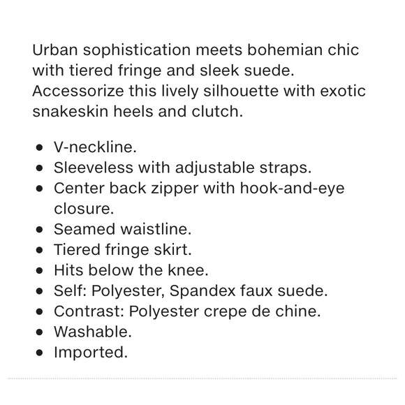 BCBGMaxAzria ‘Evin’ fringe nude dress - Picture 4 of 5